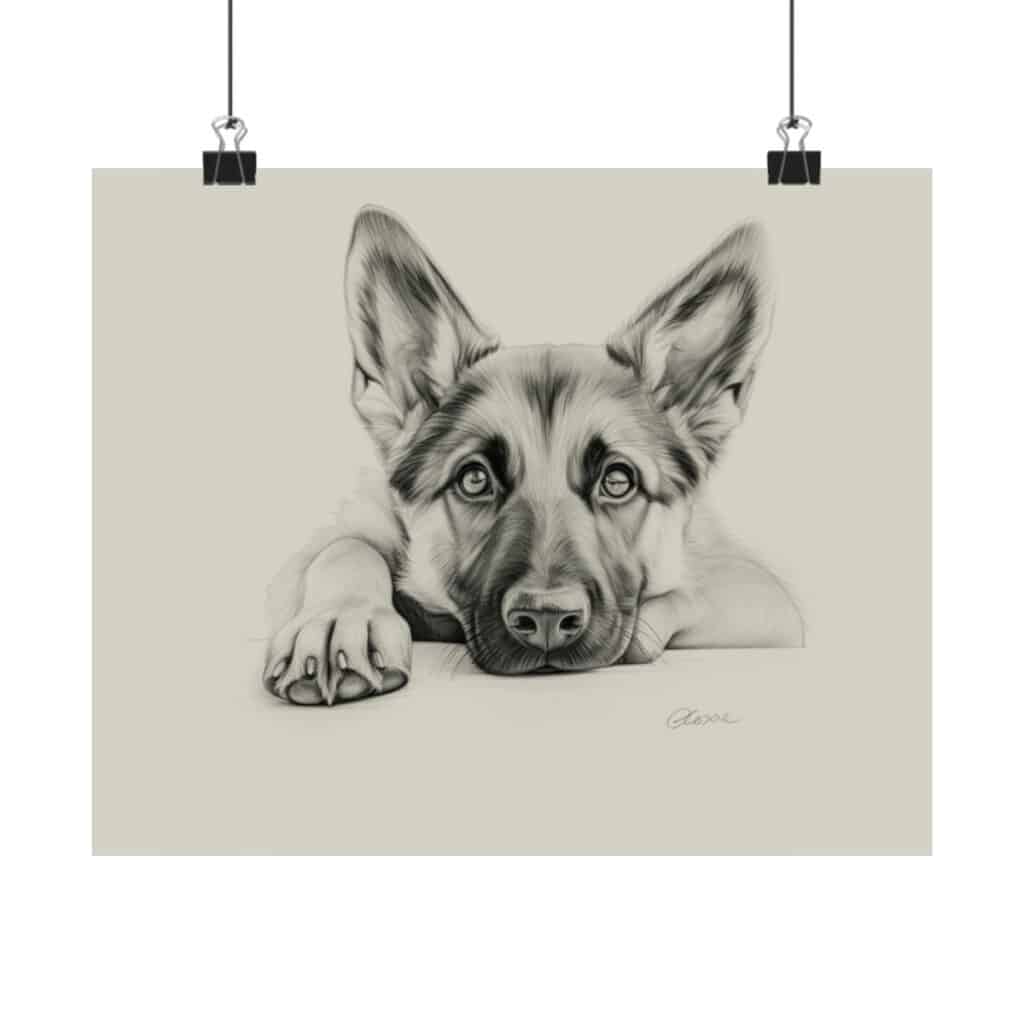 German Shepherd Fine Art Print