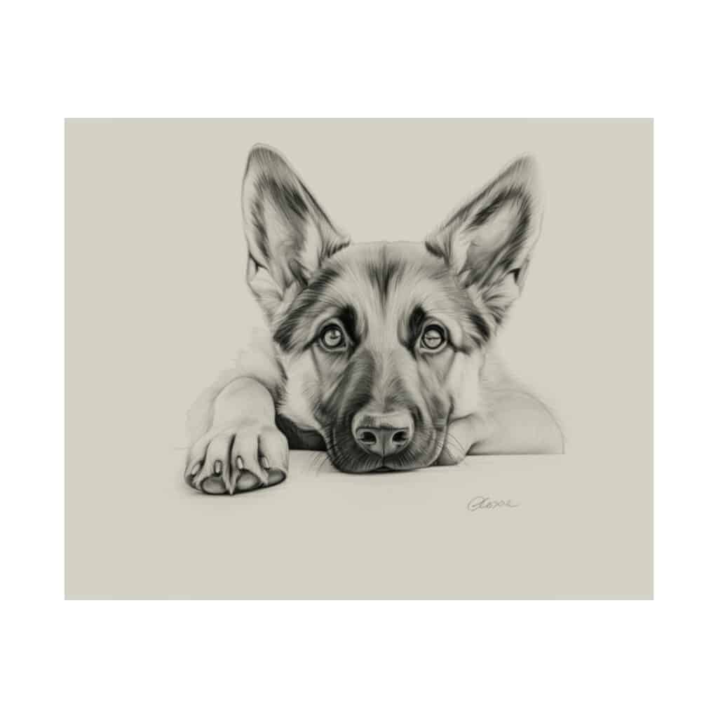 German Shepherd Fine Art Print