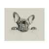 French Bulldog Portrait Fine Art Print