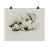 Golden Retriever Portrait Fine Art Print