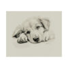 Golden Retriever Portrait Fine Art Print