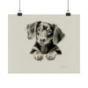 Dachshund Portrait Fine Art Print