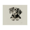 Dachshund Portrait Fine Art Print