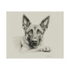 Belgian Malinois Portrait Fine Art Print