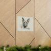 Belgian Malinois Portrait Fine Art Print