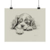 Cavalier King Charles Spaniel Portrait Fine Art Print