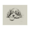 Cavalier King Charles Spaniel Portrait Fine Art Print