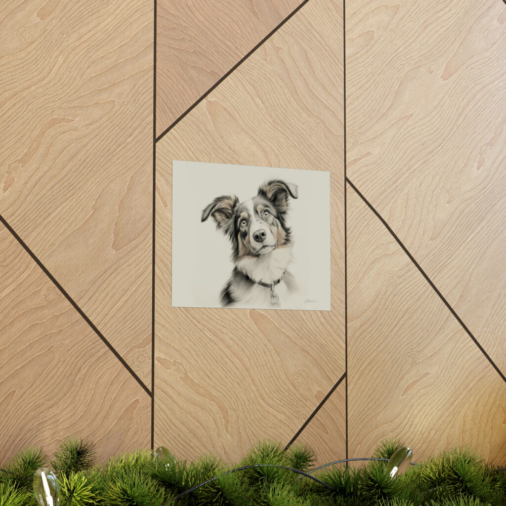 Australian Shepherd Dog Portrait Fine Art Print