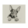 Doberman Portrait Fine Art Print