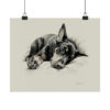 Doberman Portrait Fine Art Print