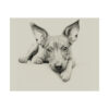 American Hairless Terrier Portrait Fine Art Print