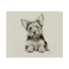 Yorkshire Terrier Portrait Fine Art Print