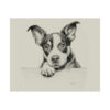 Boston Terrier Portrait Fine Art Print