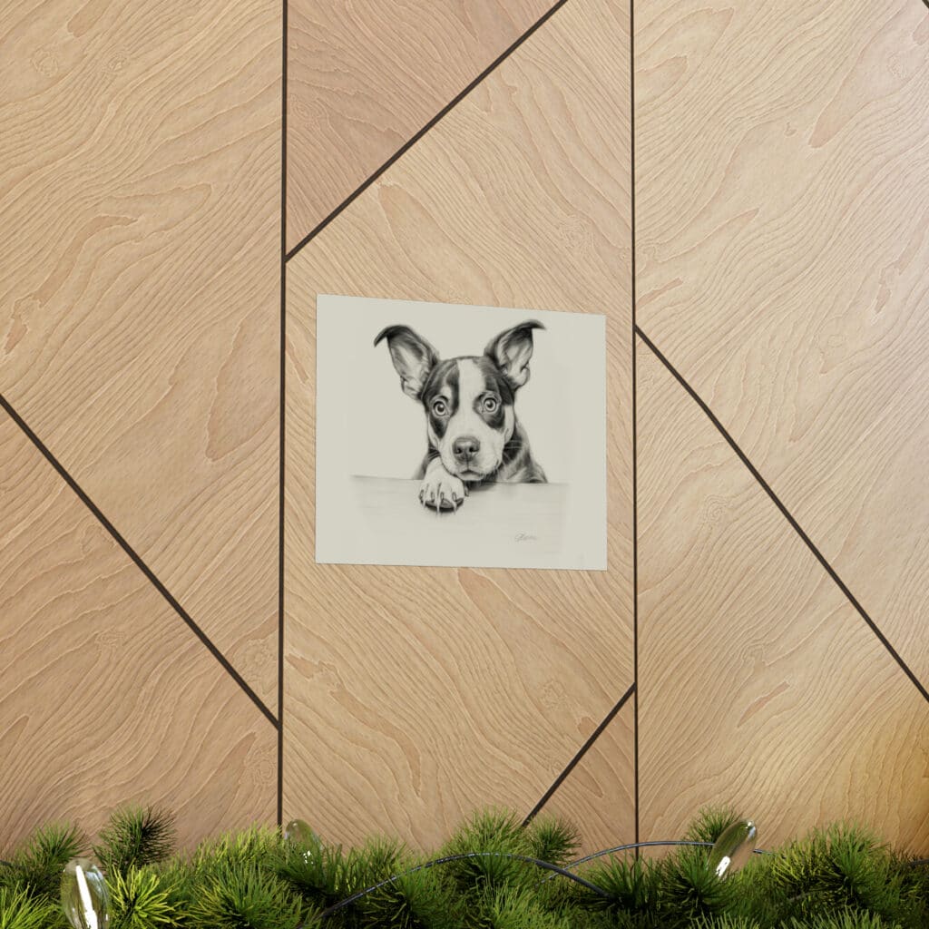 Boston Terrier Portrait Fine Art Print