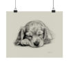 English Cocker Spaniel Portrait Fine Art Print