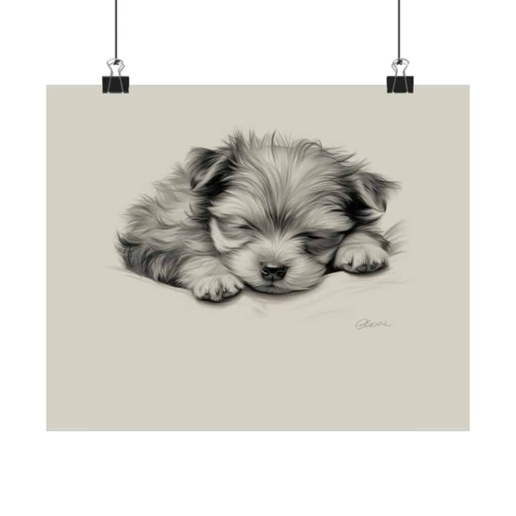 Yorkshire Terrier Fine Art Print