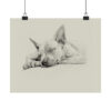 American Hairless Terrier Fine Art Print