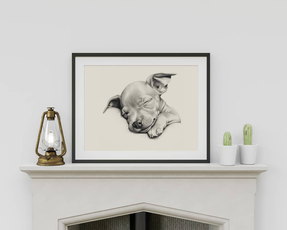 American Hairless Terrier Portrait Fine Art Print