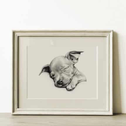 American Hairless Terrier Portrait Fine Art Print