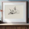 American Hairless Terrier Fine Art Print