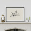 American Hairless Terrier Fine Art Print