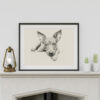 American Hairless Terrier Portrait Fine Art Print