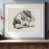 Australian Shepherd Dog Portrait Fine Art Print