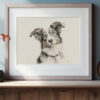 Australian Shepherd Dog Portrait Fine Art Print