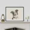 Australian Shepherd Dog Portrait Fine Art Print