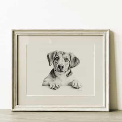 Beagle Dog Portrait Fine Art Print