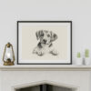 Beagle Dog Portrait Fine Art Print