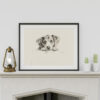 Beagle Dog Portrait Fine Art Print