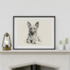 Belgian Malinois Portrait Fine Art Print