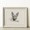 Belgian Malinois Portrait Fine Art Print