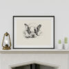 Boston Terrier Portrait Fine Art Print