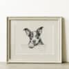 Boston Terrier Portrait Fine Art Print