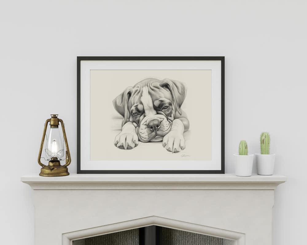 Boxer Dog Portrait Fine Art Print