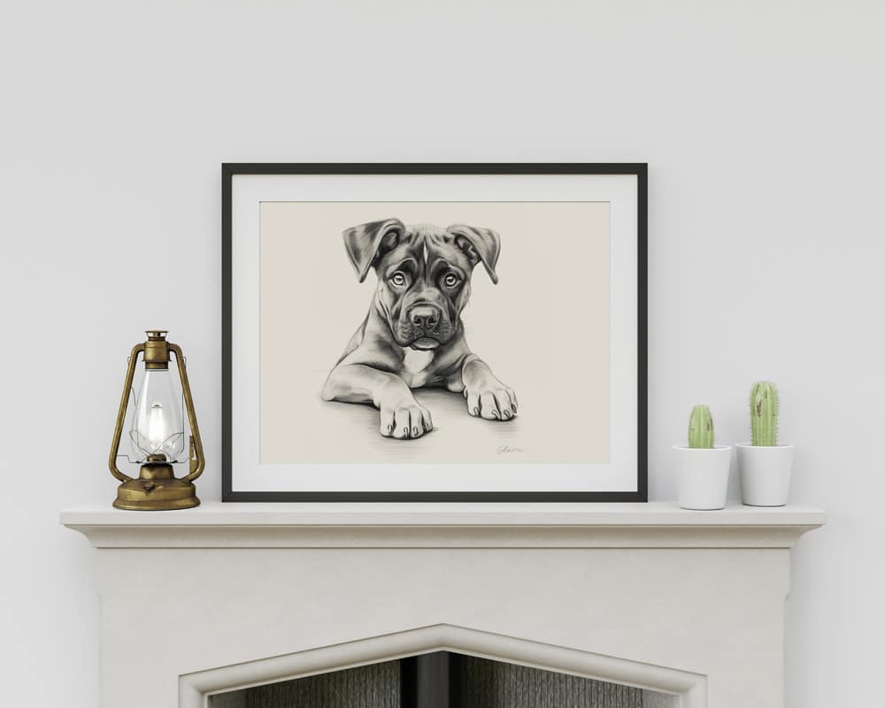 Boxer Dog Portrait Fine Art Print