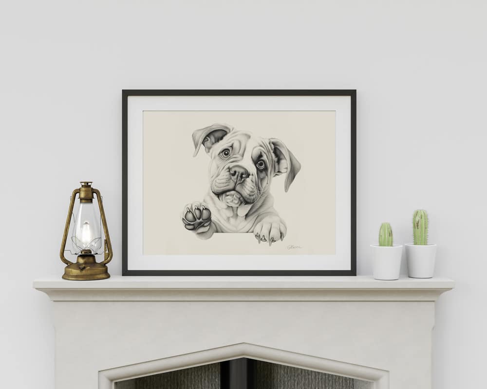 Bulldog Portrait Fine Art Print