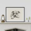 Bulldog Portrait Fine Art Print