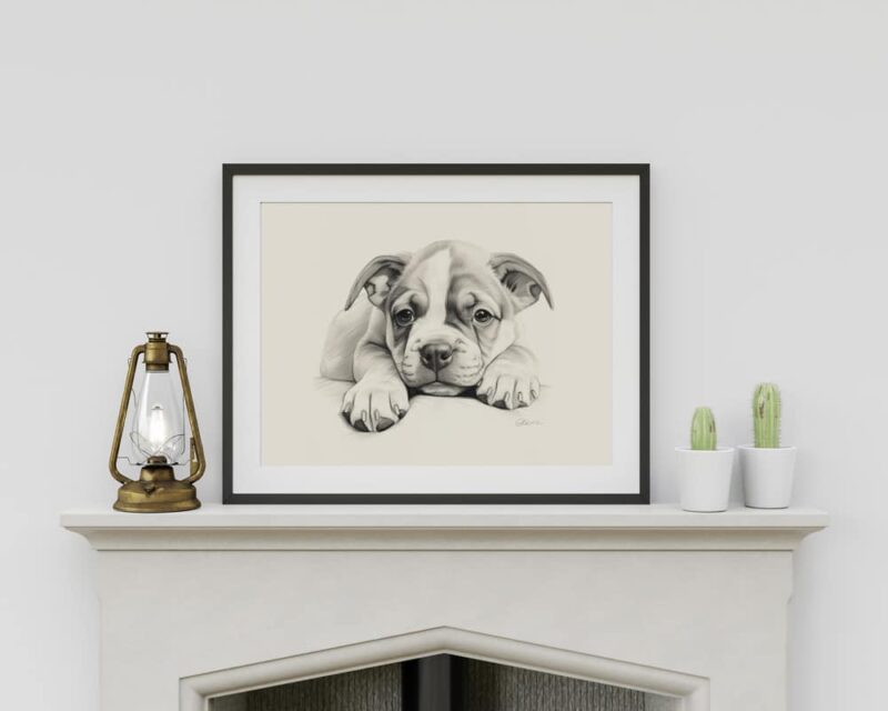 Bulldog Portrait Fine Art Print