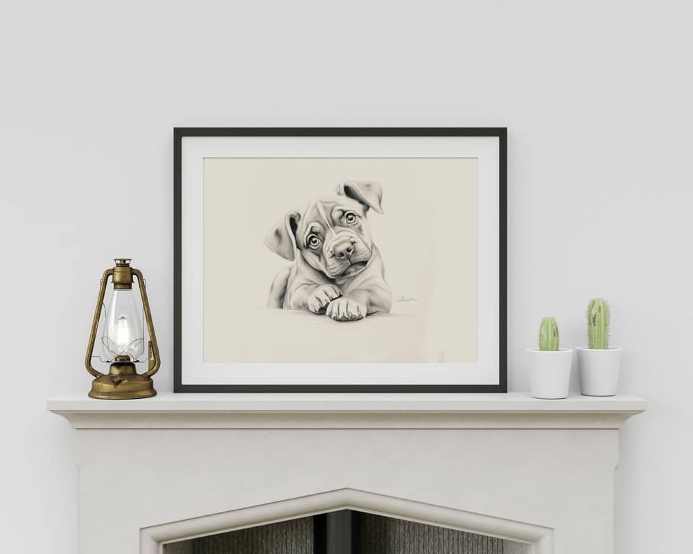 Bulldog Portrait Fine Art Print