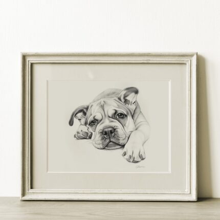 Bulldog Portrait Fine Art Print