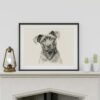 Cane Corso Portrait Fine Art Print