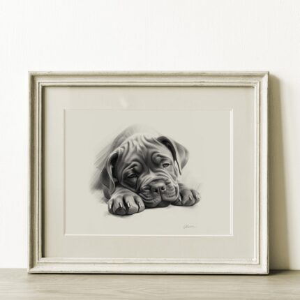 Cane Corso Portrait Fine Art Print