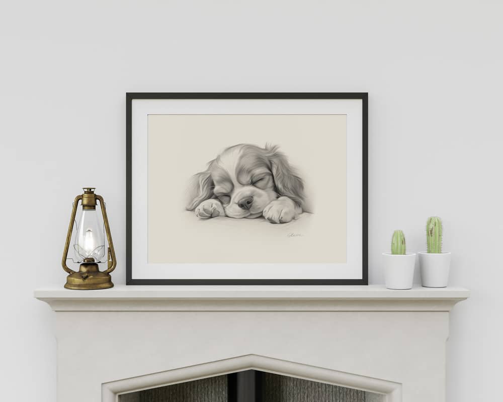 Cavalier King Charles Spaniel Portrait Fine Art Print