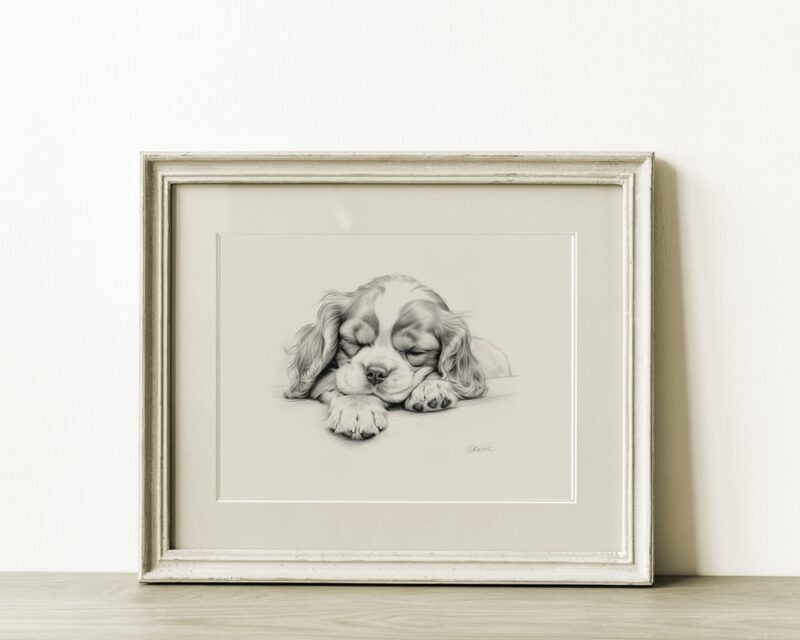 Cavalier King Charles Spaniel Portrait Fine Art Print