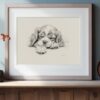 Cavalier King Charles Spaniel Portrait Fine Art Print