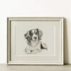 Cavalier King Charles Spaniel Portrait Fine Art Print