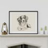 Cavalier King Charles Spaniel Portrait Fine Art Print